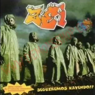 CD ZEI - Seguiremos kayendo
