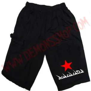 Bermuda Reincidentes 