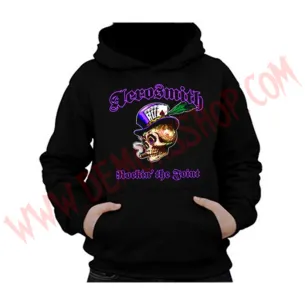 Sudadera Aerosmith
