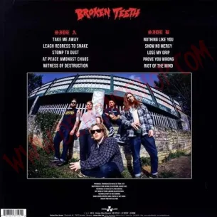 Vinilo LP Broken Teeth - At peace amongst chaos 2