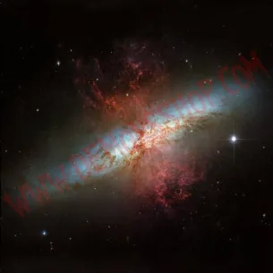 Vinilo LP Cordura ‎– El Mal Ya Está Hecho