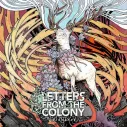Vinilo LP Letters from the Colony - Vignette