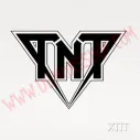 Vinilo LP TNT - XIII