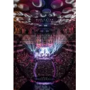 DVD Marillion ‎– All One Tonight - Live At The Royal Albert Hall