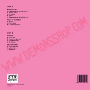 Vinilo LP Skalherria Punk 2