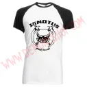 Camiseta Raglan MC Ignotus