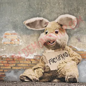 CD Peter and the test tube babies - Fuctifano