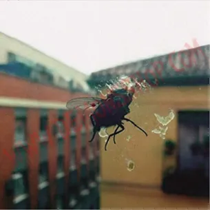 CD Biznaga - Gran pantalla