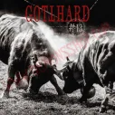 CD Gotthard - 13