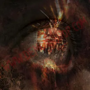 CD Face The Maybe ‎– Insight