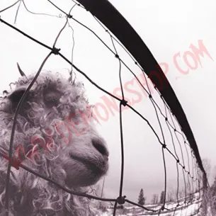 Vinilo LP Pearl Jam - Vs.