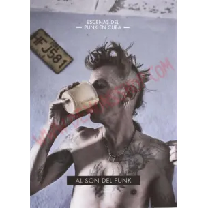 Libro Al Son Del Punk