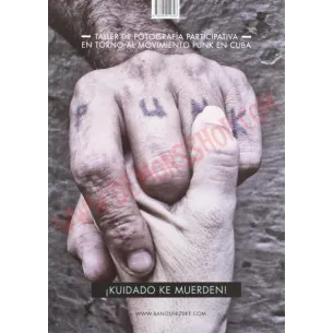 Libro Al Son Del Punk 2