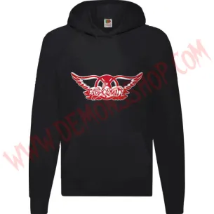 Sudadera Aerosmith