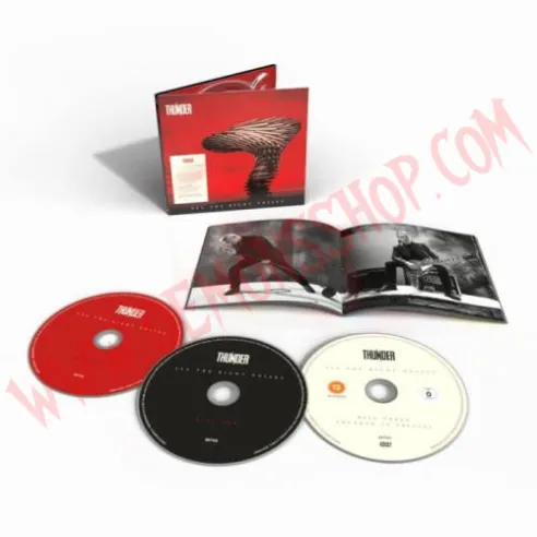 CD Thunder - All The Right Noises