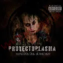 CD ProyectoPlasma - Reflejos del Subsuelo