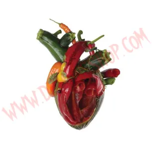 CD Carcass - Torn arteries