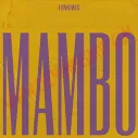 CD Funkiwis - Mambo