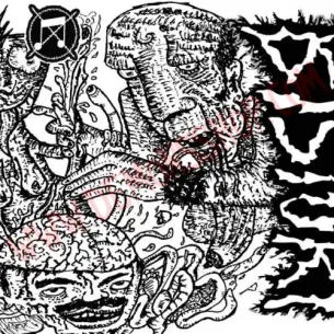 CD Bisturi - Bisturi