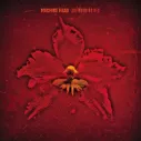 machine head - The burning red