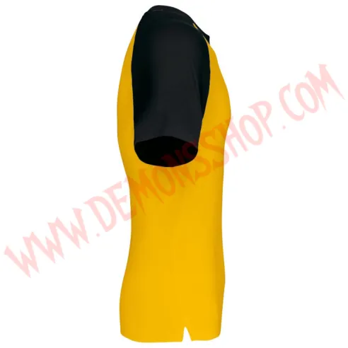 Camiseta Raglan MC Legion