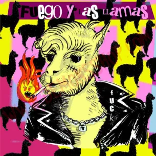 Single LP fuego y las llamas - PAJARITO/EL FUEGO Y LA LLAMA