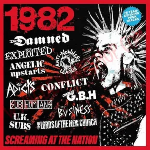 CD 1982 - Screaming At The Nation - CD Punk - 