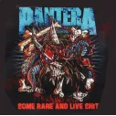 CD Pantera - Some Rare And Live Shit - CD Heavy - Pantera
