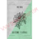 Cassette Ruina - Abismo floral - Cassettes - Ruina