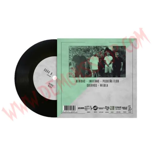 Vinilo Single Ruina - Abismo floral - Demons Punk Records - Ruina