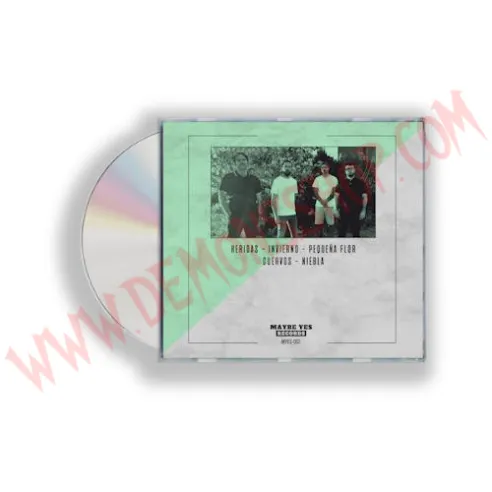 CD Ruina - Abismo floral - CD Punk - Ruina