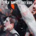 Vinlo LP Fly Shit eta Brot Bord - Split - Vinilo Punk - 