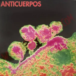 CD Anticuerpos