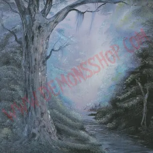 CD Algol – Entering The Woods Of Enchantment