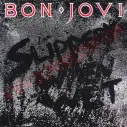 CD Bon Jovi ‎– Slippery When Wet