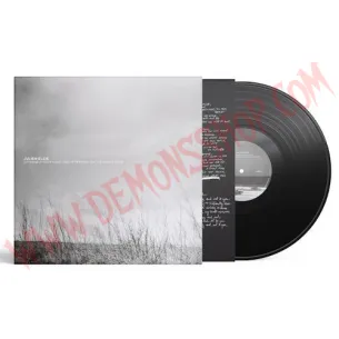 Vinilo LP Julien Elsie - Extremely Poor Light This Afternoon on the Angas River