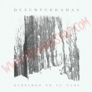 Vinilo LP Larsen - Canciones Desenterradas - Vinilo Punk - Larsen