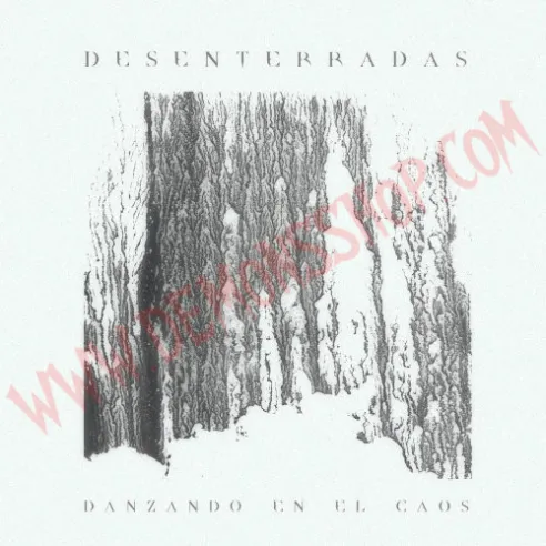 Vinilo LP Larsen - Canciones Desenterradas - Vinilo Punk - Larsen