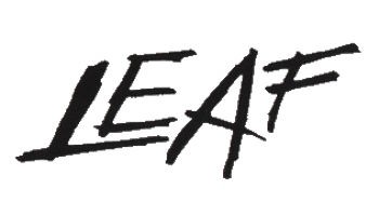 Leaf